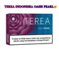 Terea Indonesia Oasis Pearl packaging with purple and blue design