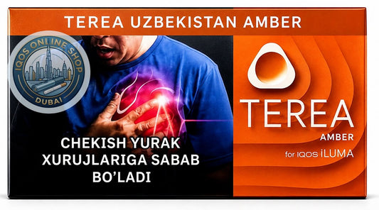 TEREA Amber Uzbekistan