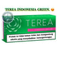 A green Terea Indonesia Green product box with white lettering, a pink band, and a warning label on a white background. Text above reads 'TEREA INDONESIA GREEN.